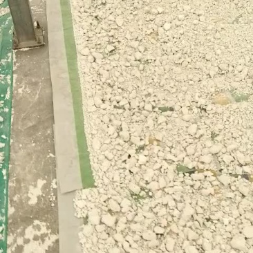 红薯淀粉