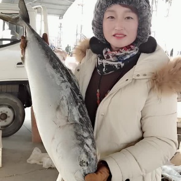 各种大鱼批发