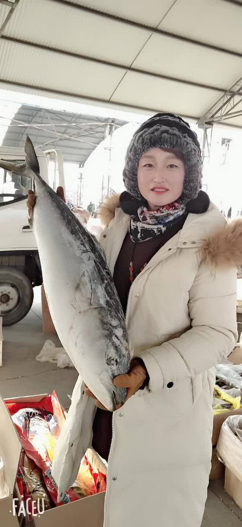 各种大鱼批发