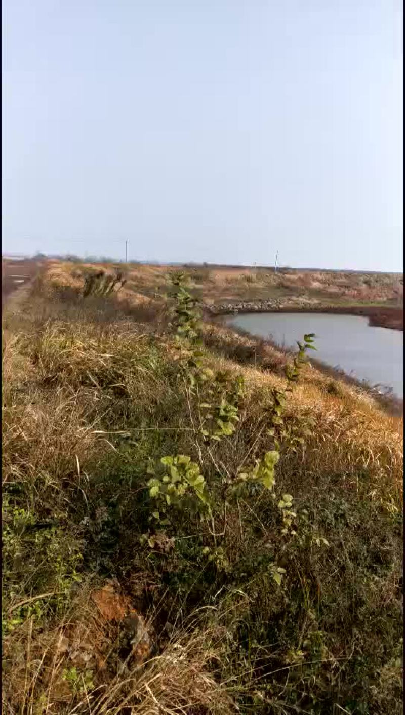 土地