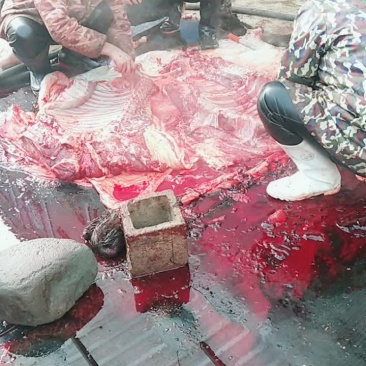 驴肉
