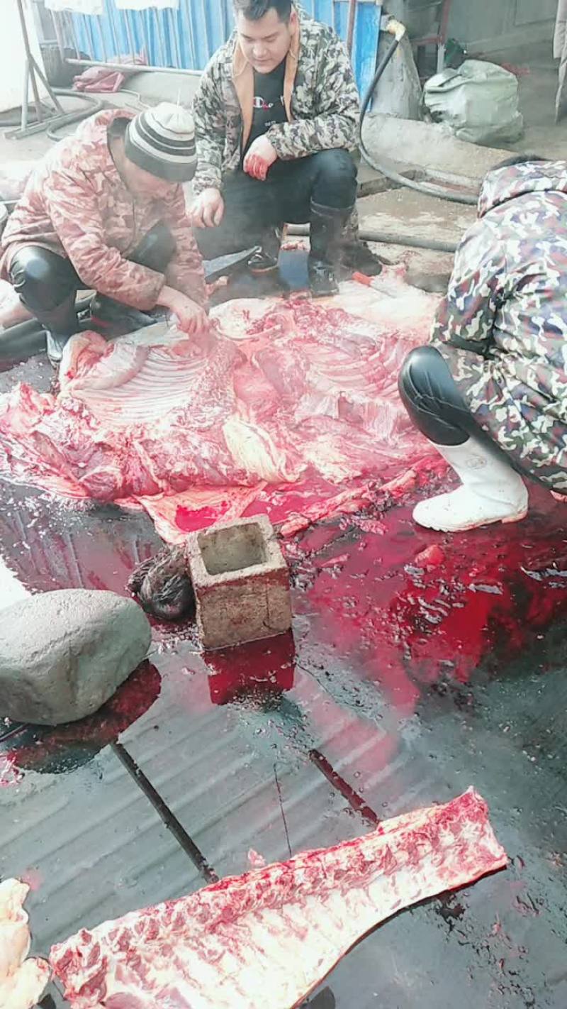 驴肉