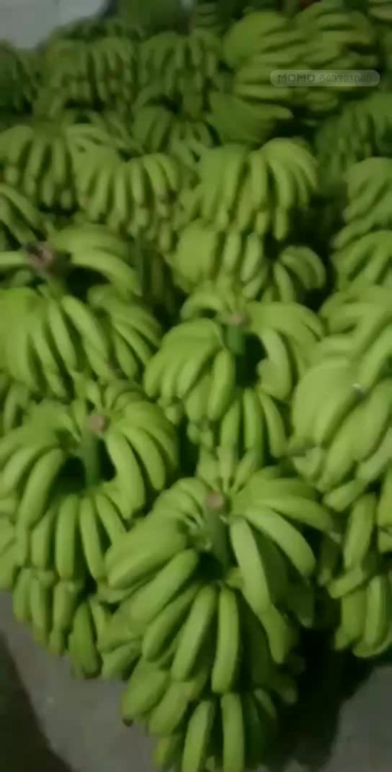七成熟的蕉