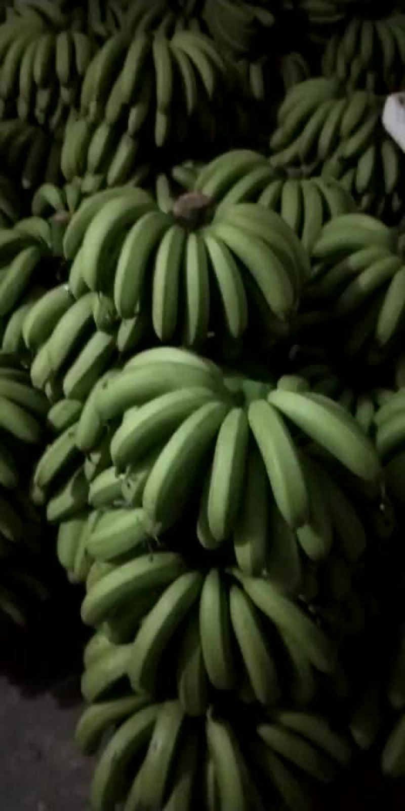 七成熟的蕉