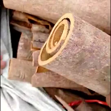 八角桂皮到货