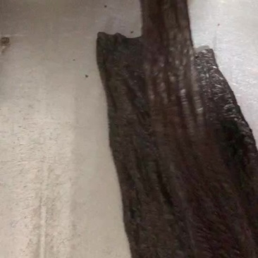 黑豆做的豆皮