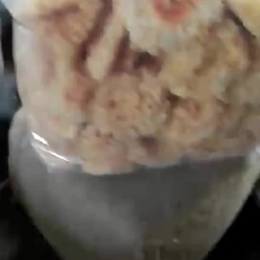 银耳
