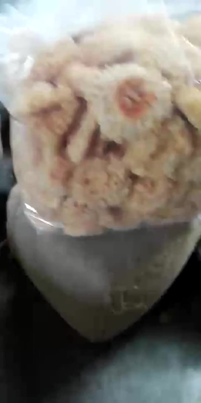 银耳