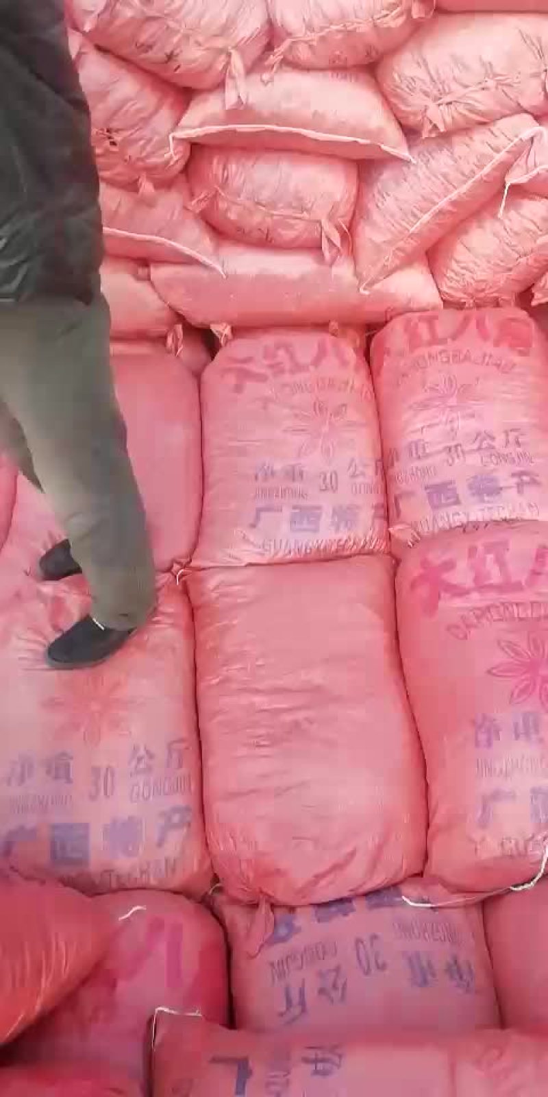 八角14
