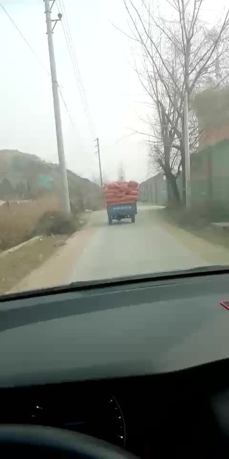 八角14