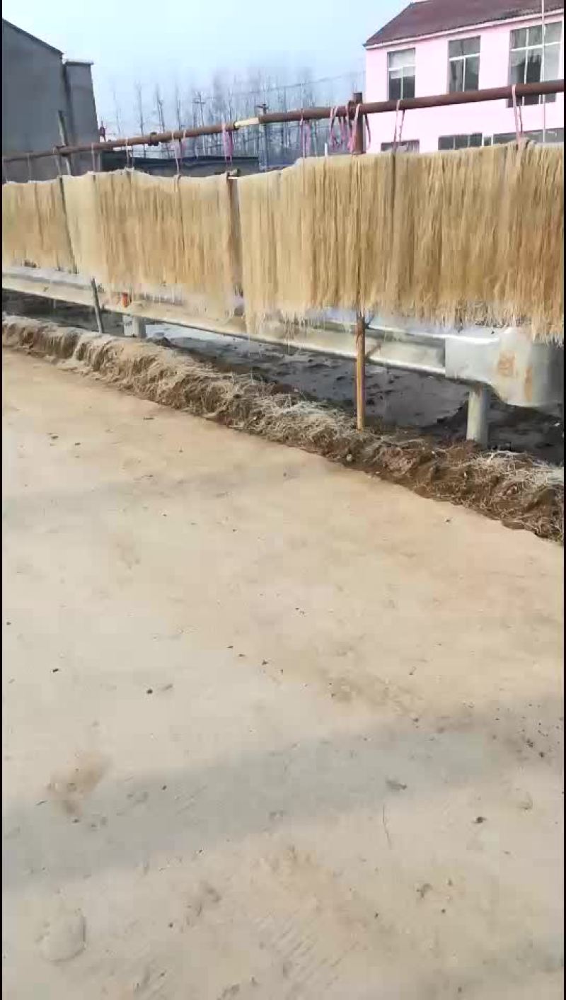 红薯粉丝