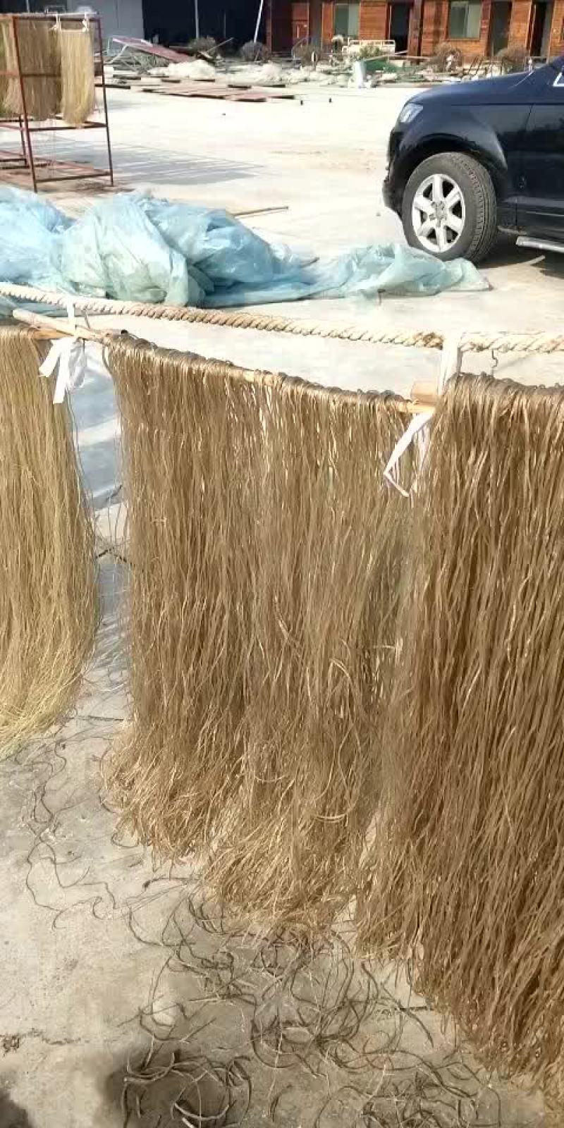 红薯粉条，确保纯度，口感十足