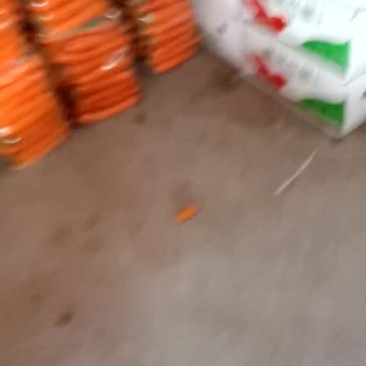 胡萝卜