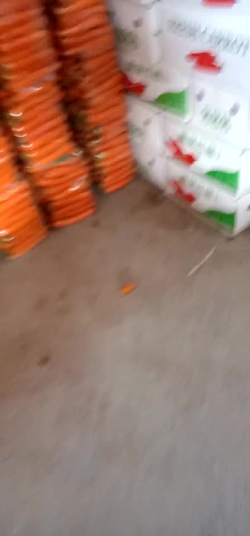 胡萝卜
