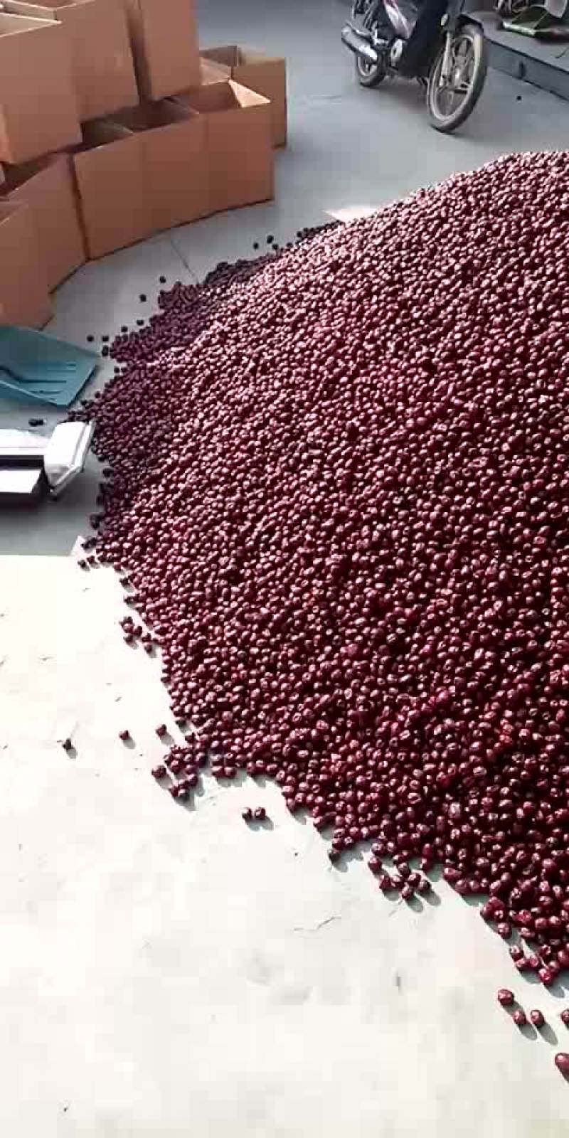 纹枣，含糖量高，肉多核小，特别好吃，皮薄