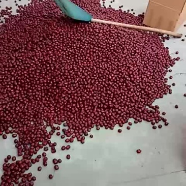 纹枣，含糖量高，肉多核小，特别好吃，皮薄