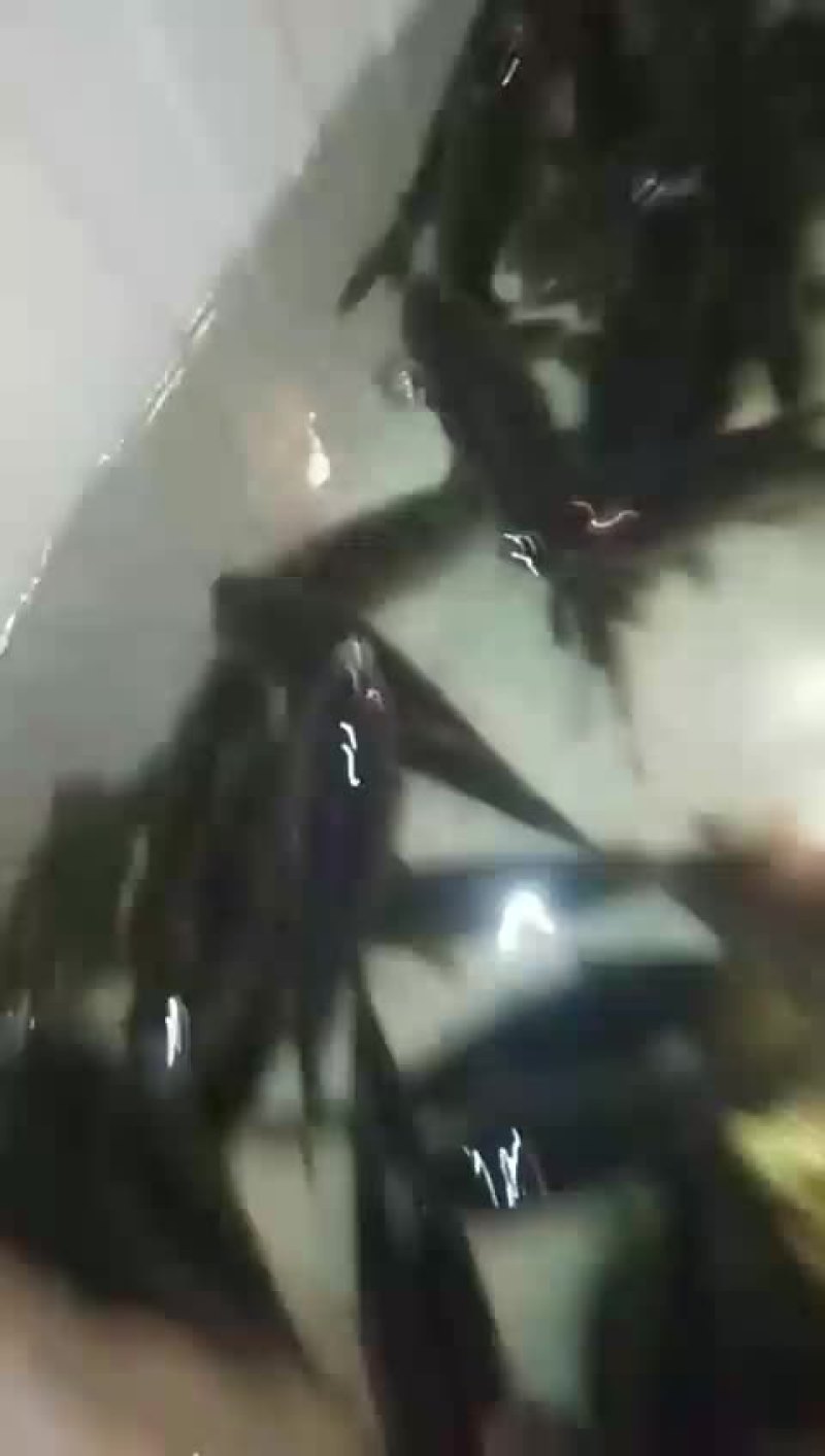 鲫鱼