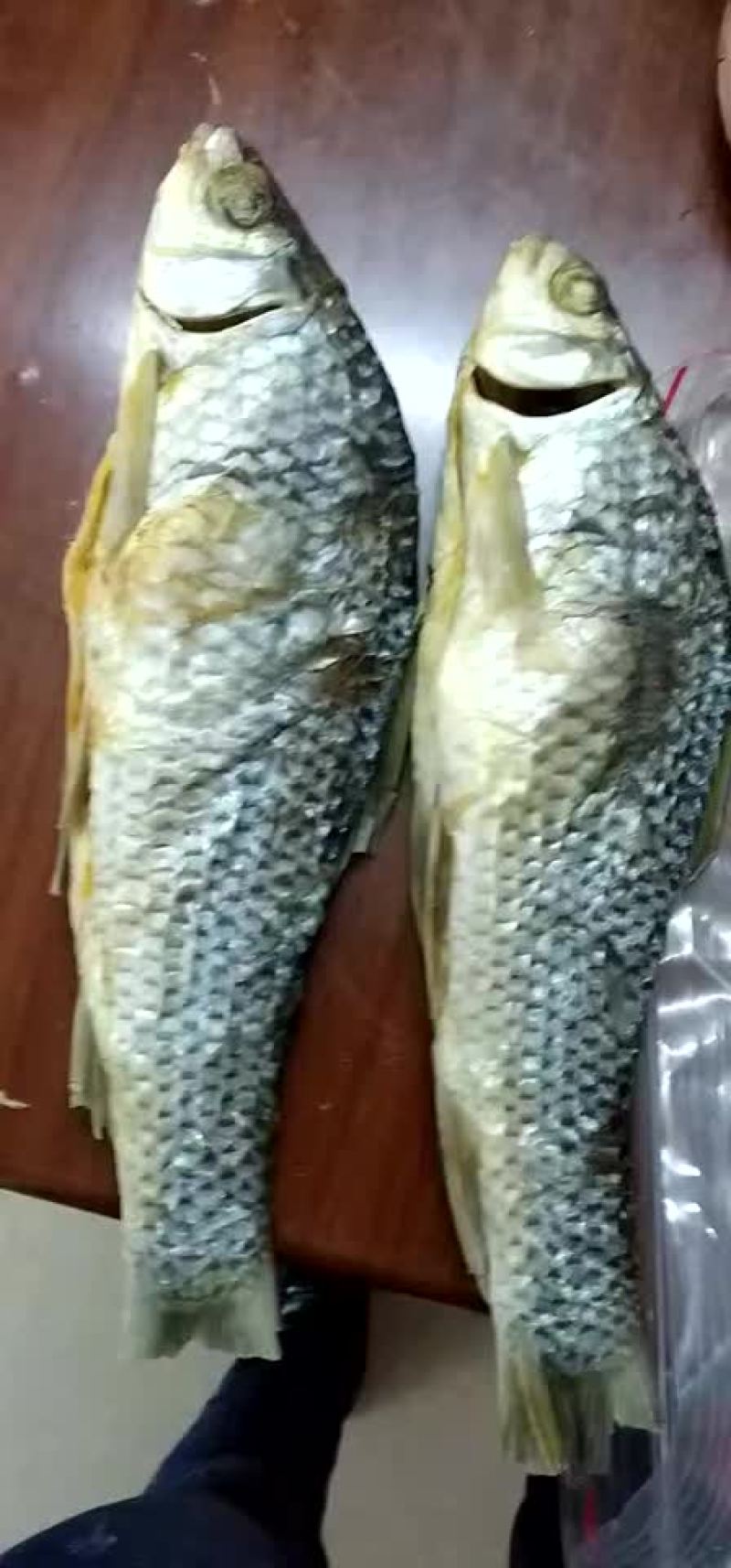 自晒鲠王干