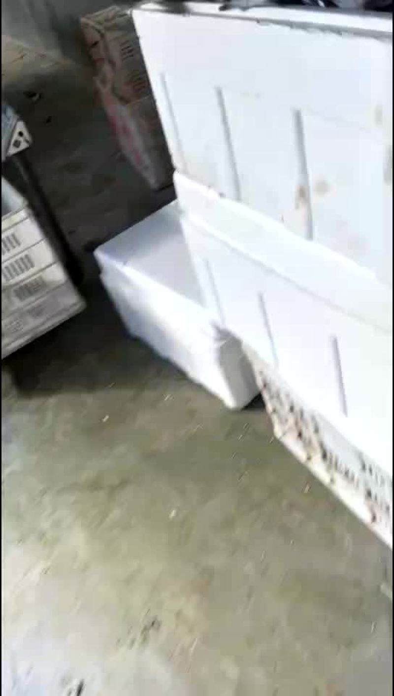 茼蒿精品装箱