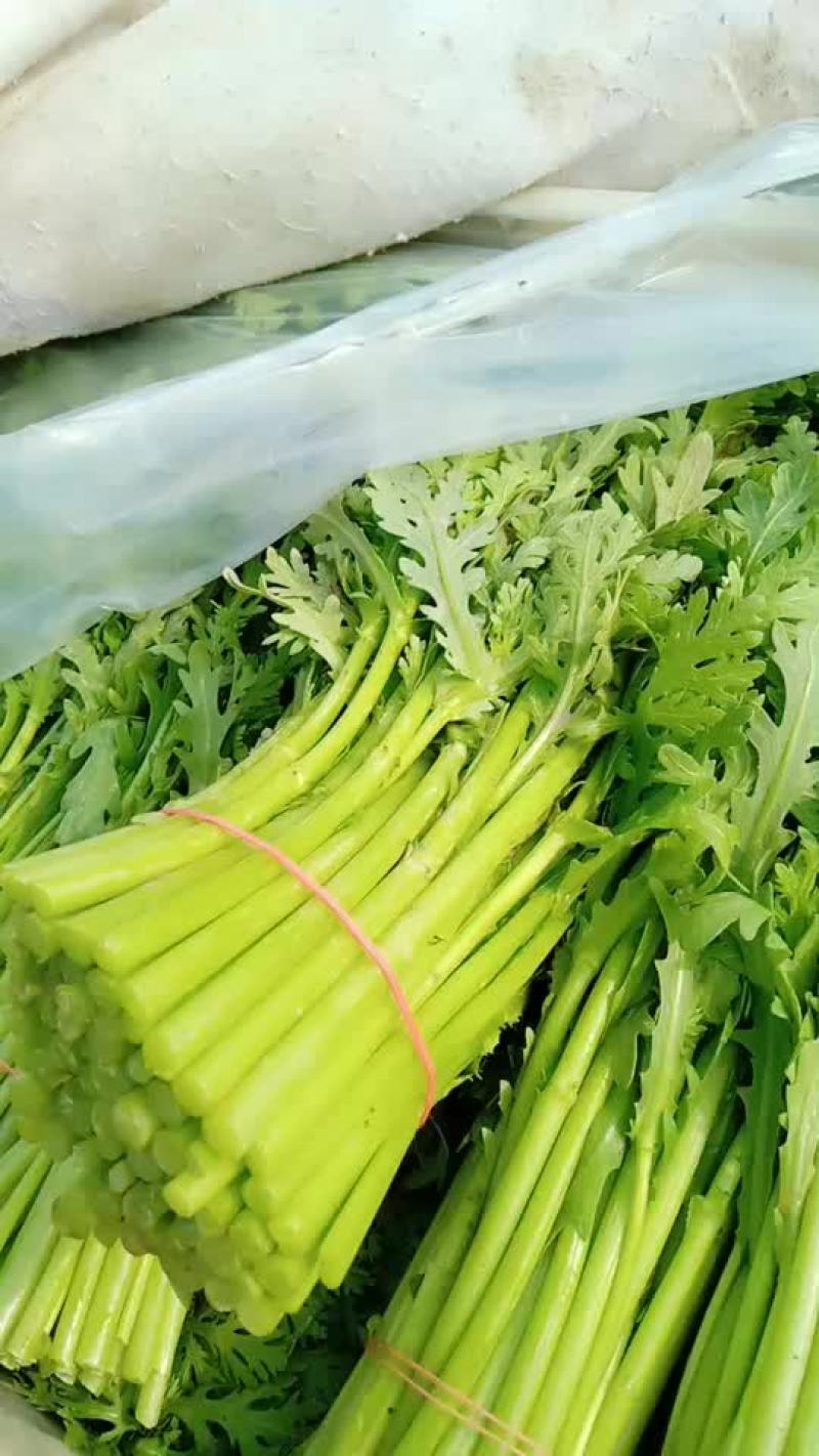 菠菜，茼蒿，芹菜，生菜，香菜，等叶菜类产地直销，全国直发