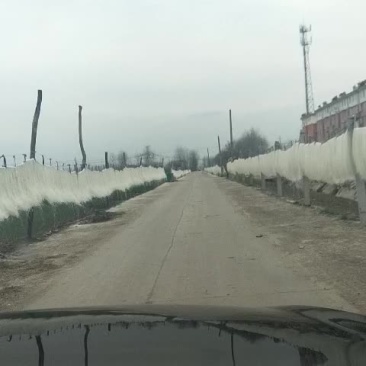 专营红薯粉丝。大量批发零售。