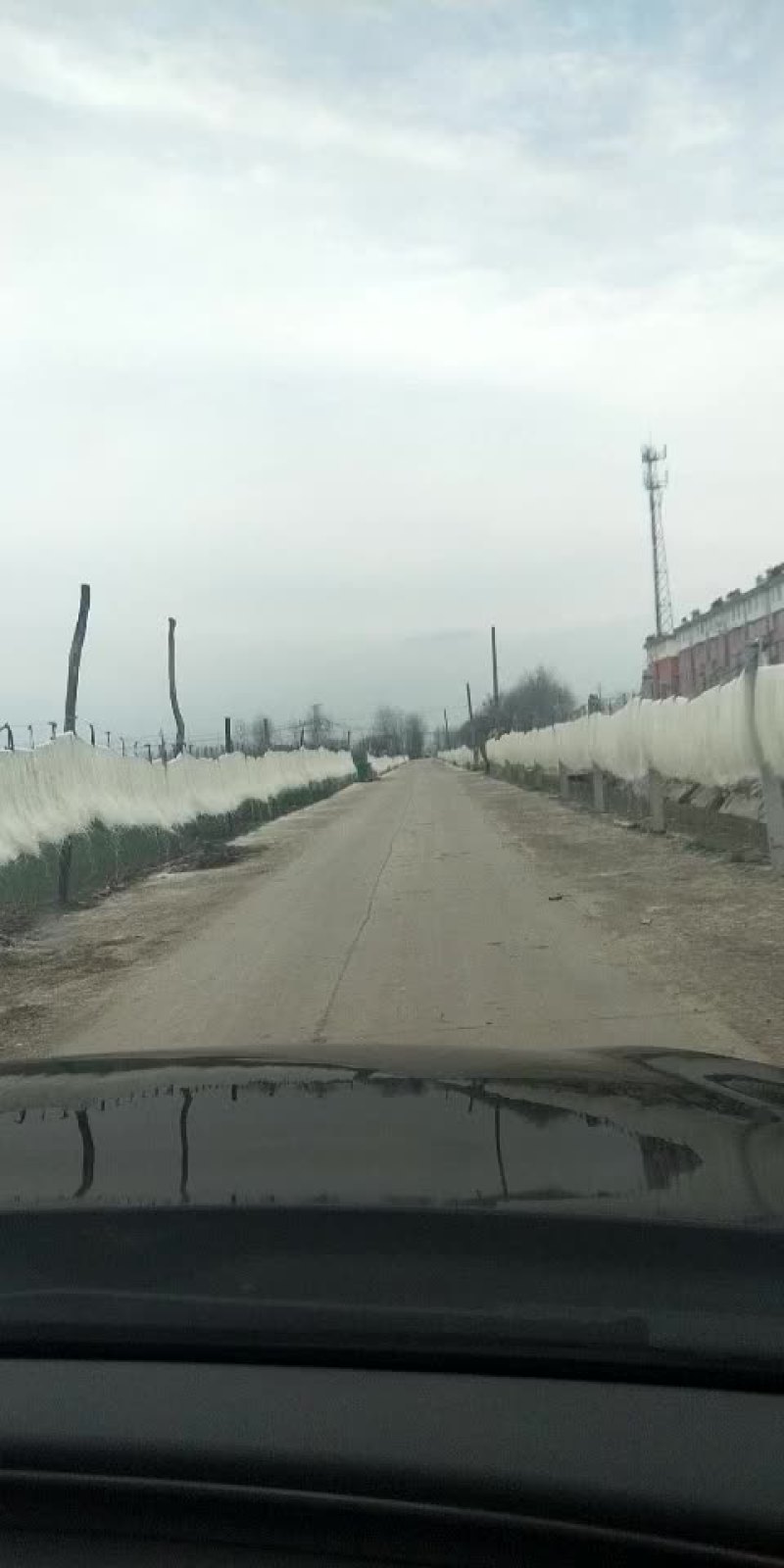 专营红薯粉丝。大量批发零售。