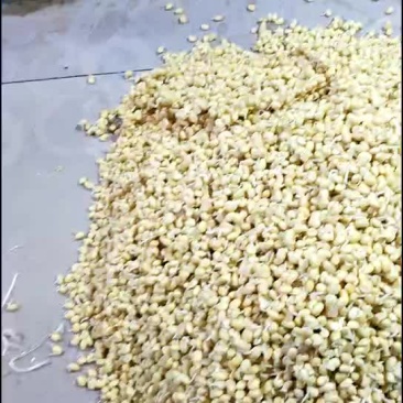 豆瓣