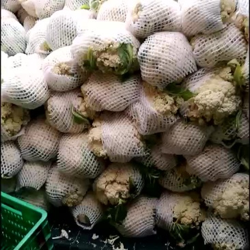 松花菜
