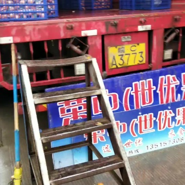 砂糖橘