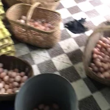 土鸡蛋