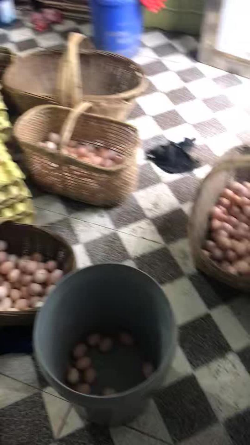 土鸡蛋