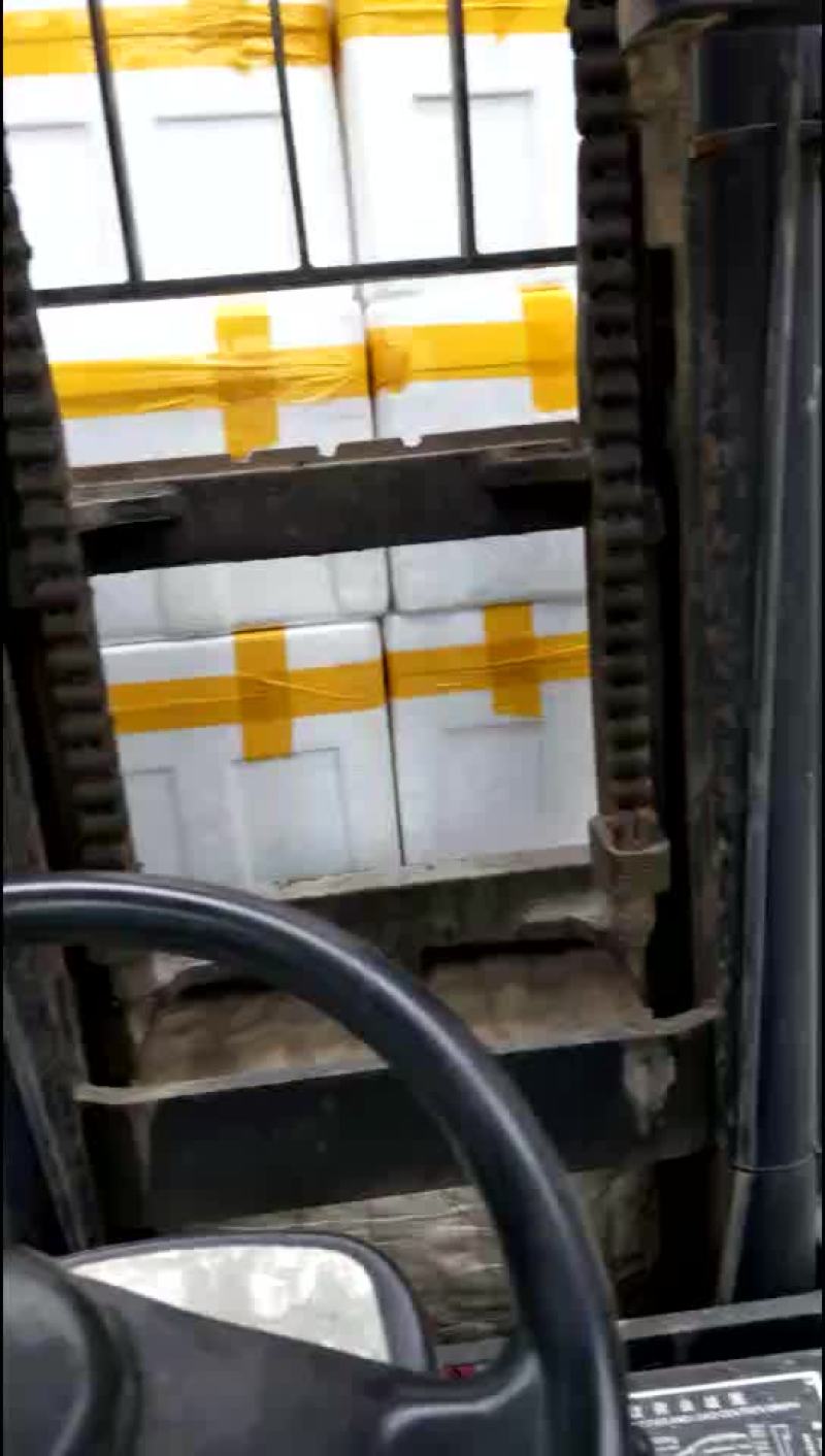 茼蒿精品装箱