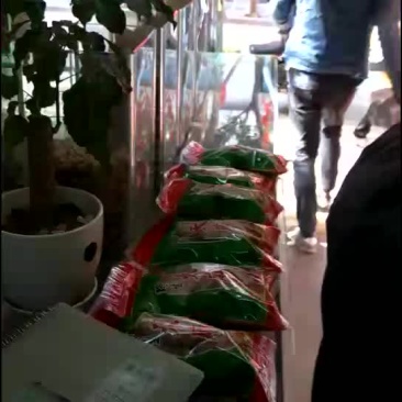 天麻