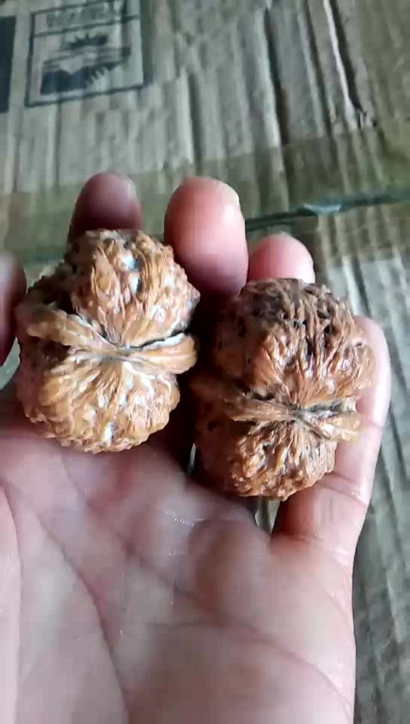 文玩核桃批发