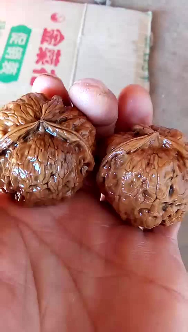 文玩核桃批发