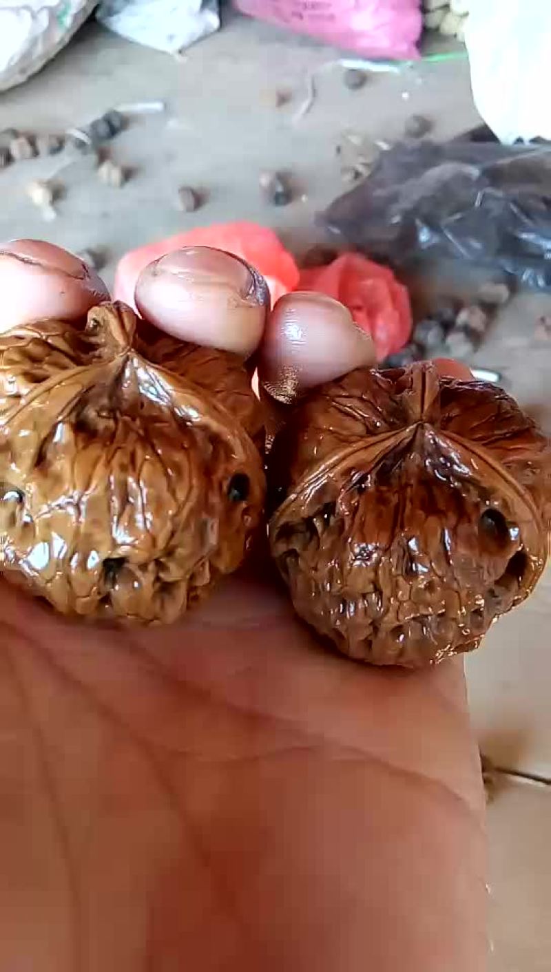 文玩核桃批发