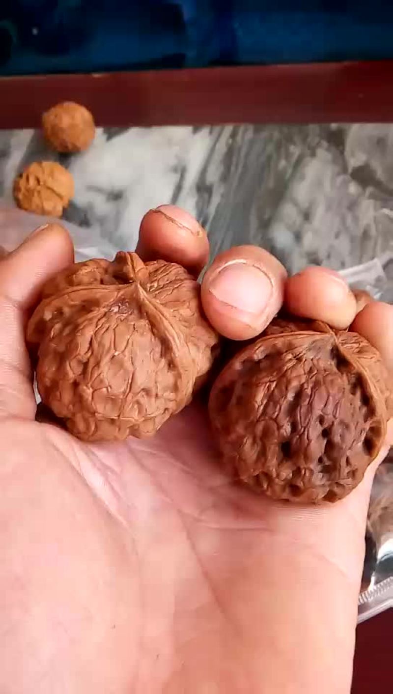 文玩核桃批发