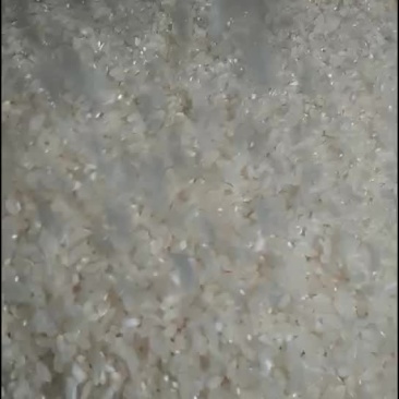 长粒89