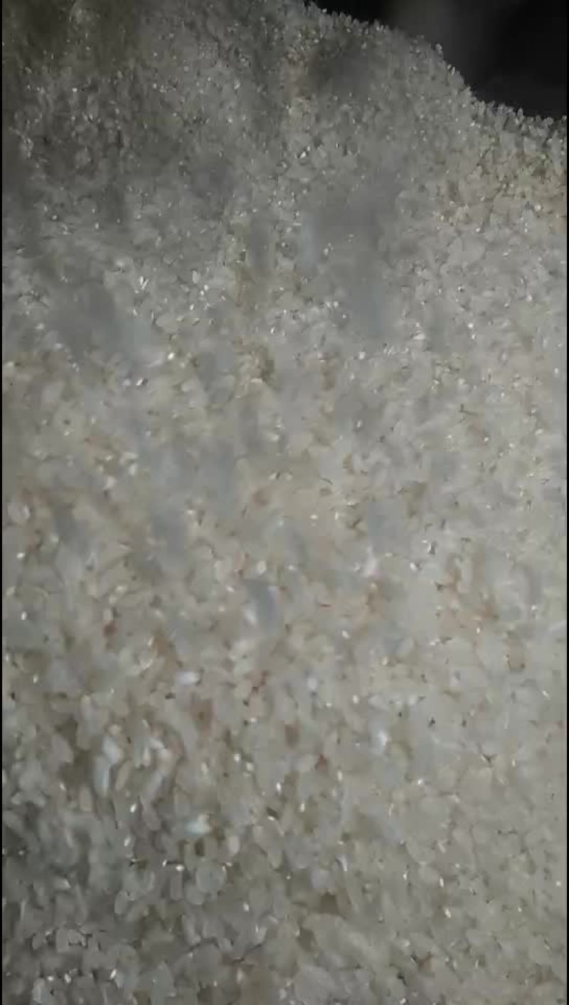 长粒89