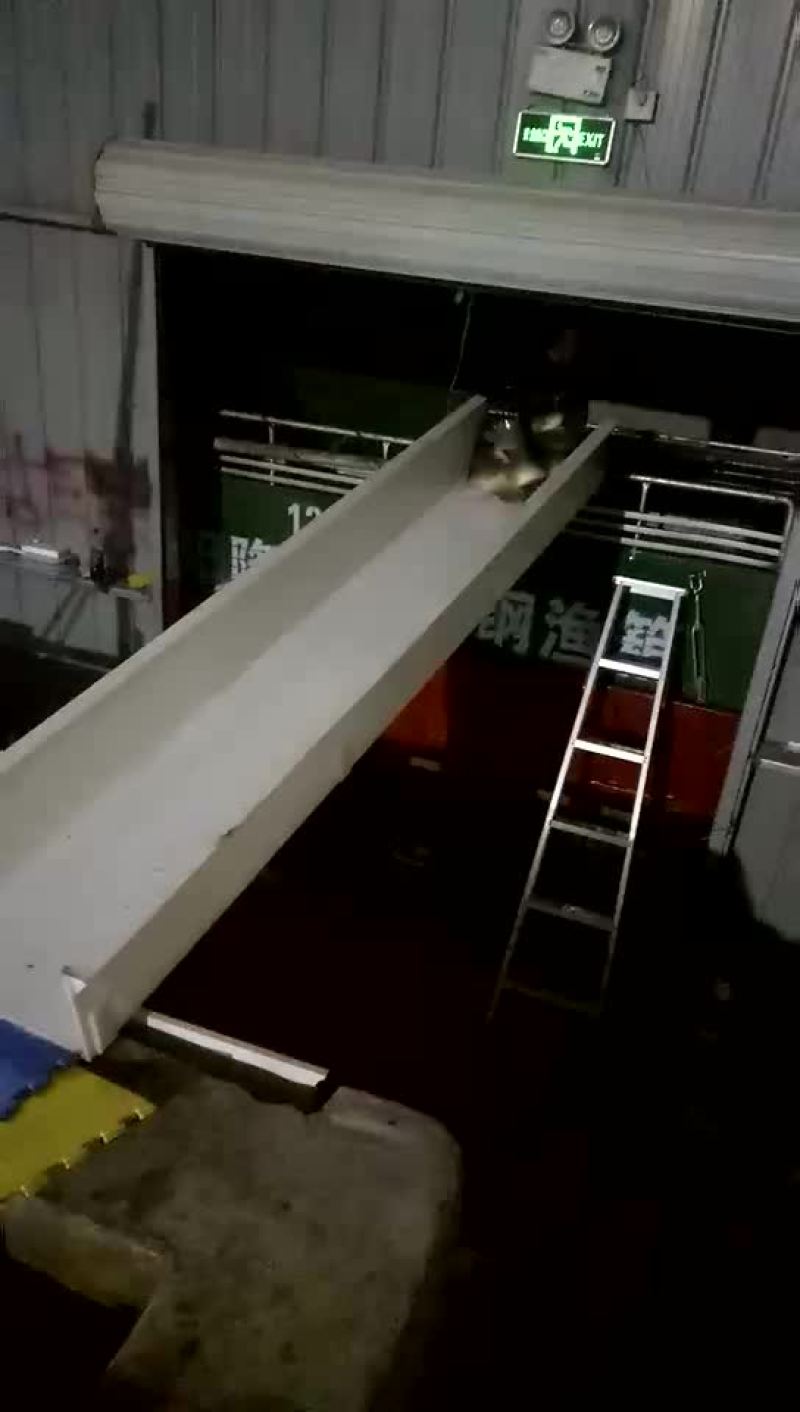 出4000斤鲤鱼，规格1斤到3斤