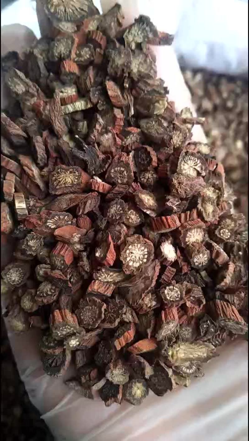 山东丹参片过筛的新货