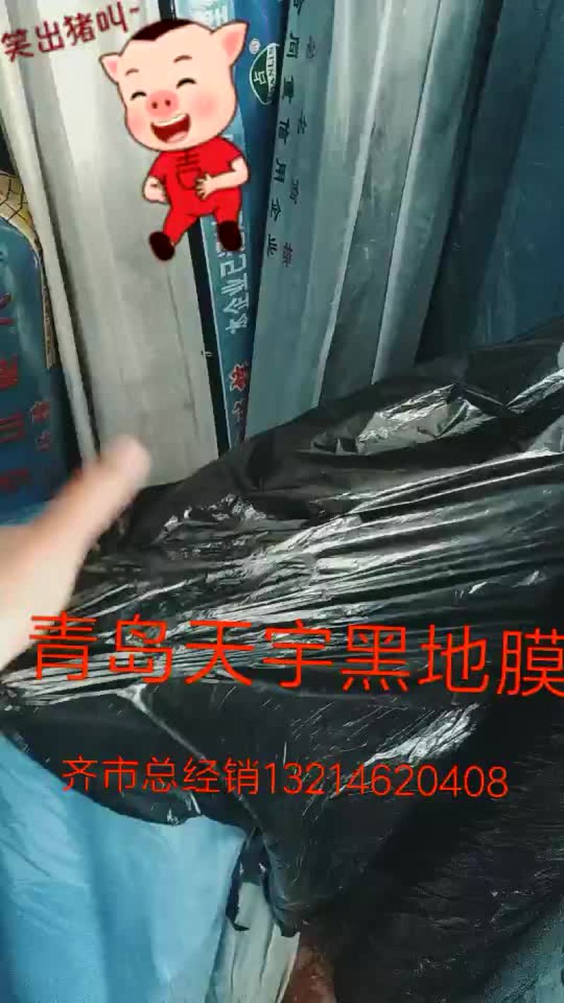 青岛天宇地膜