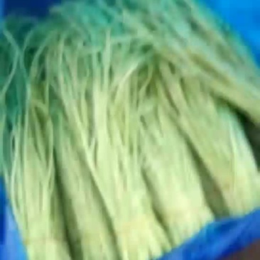 精品芦蒿上市
