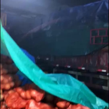 日本南瓜好好好好好好好好