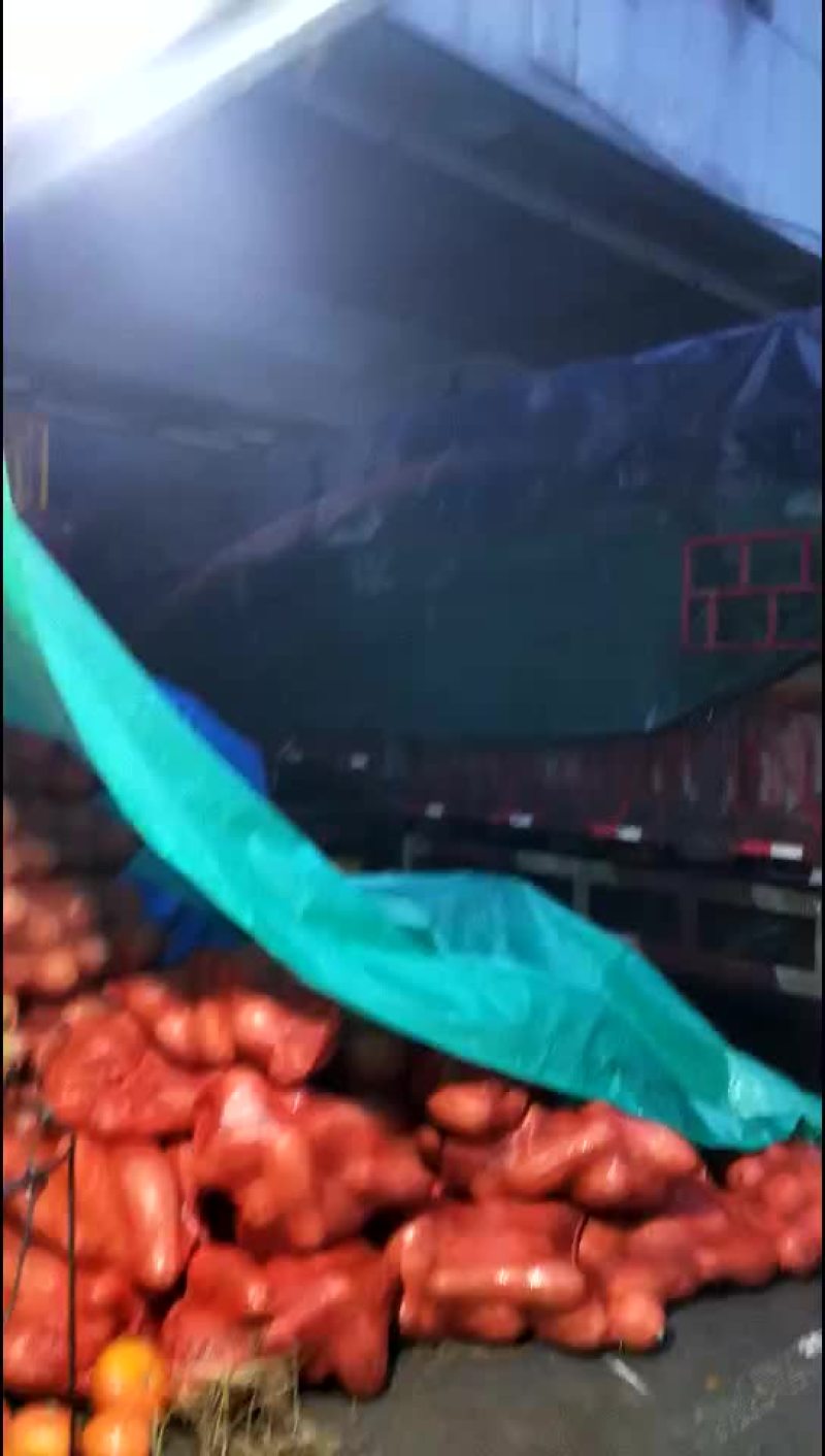 日本南瓜好好好好好好好好