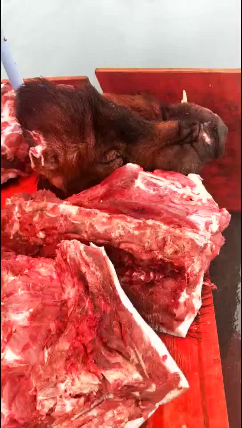 黑猪肉