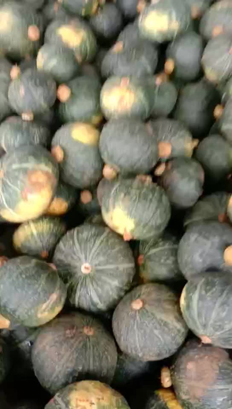板栗南瓜