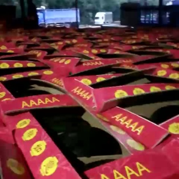 黑美人西瓜