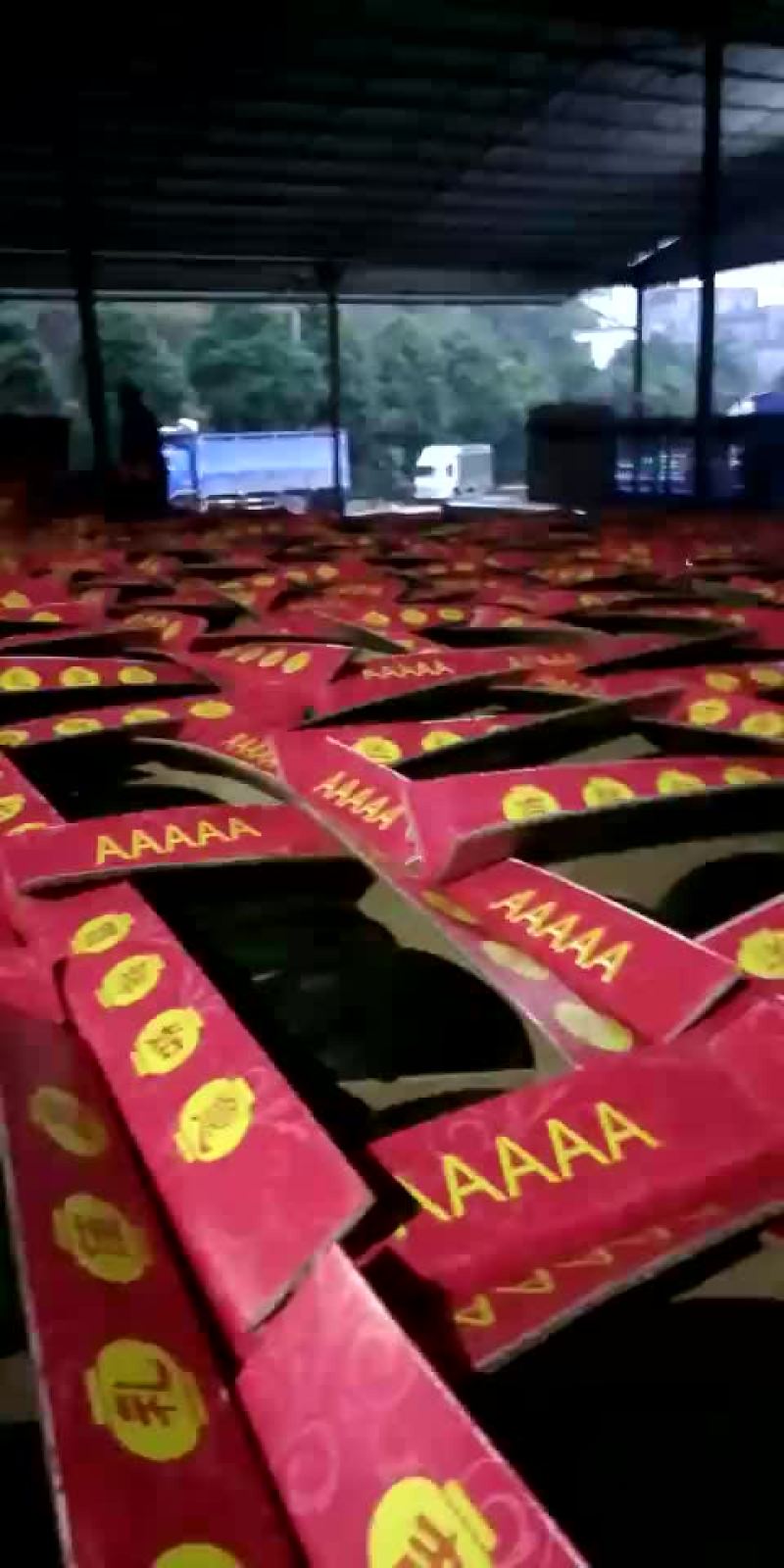 黑美人西瓜