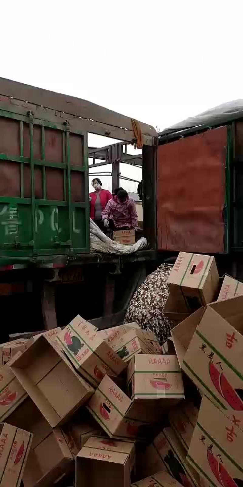 黑美人西瓜